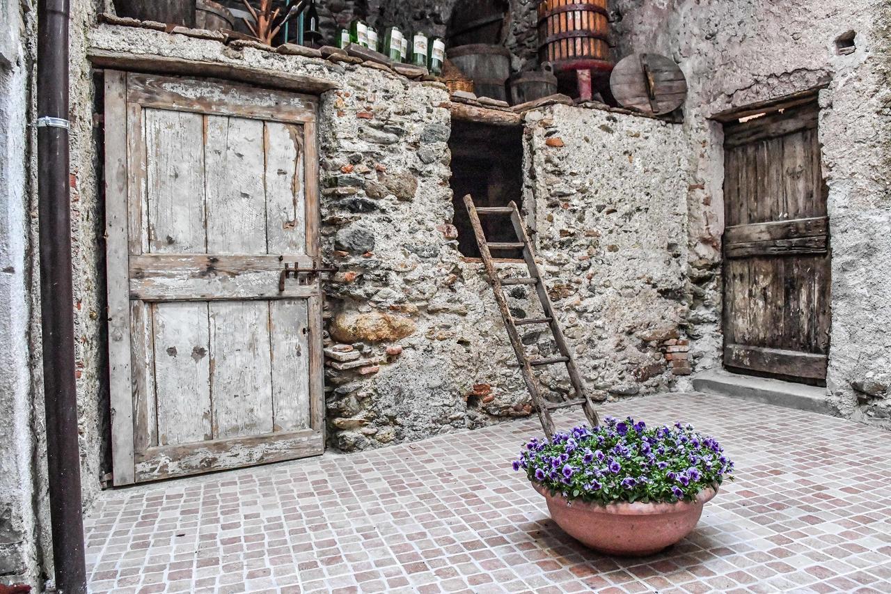 La Terra Di Mingo Bed & Breakfast Vado Ligure Dış mekan fotoğraf
