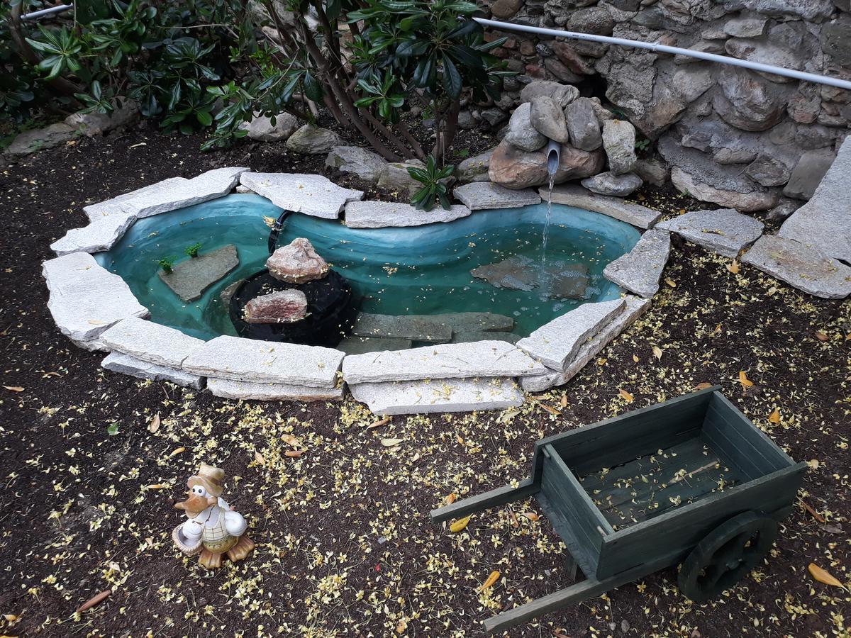 La Terra Di Mingo Bed & Breakfast Vado Ligure Dış mekan fotoğraf