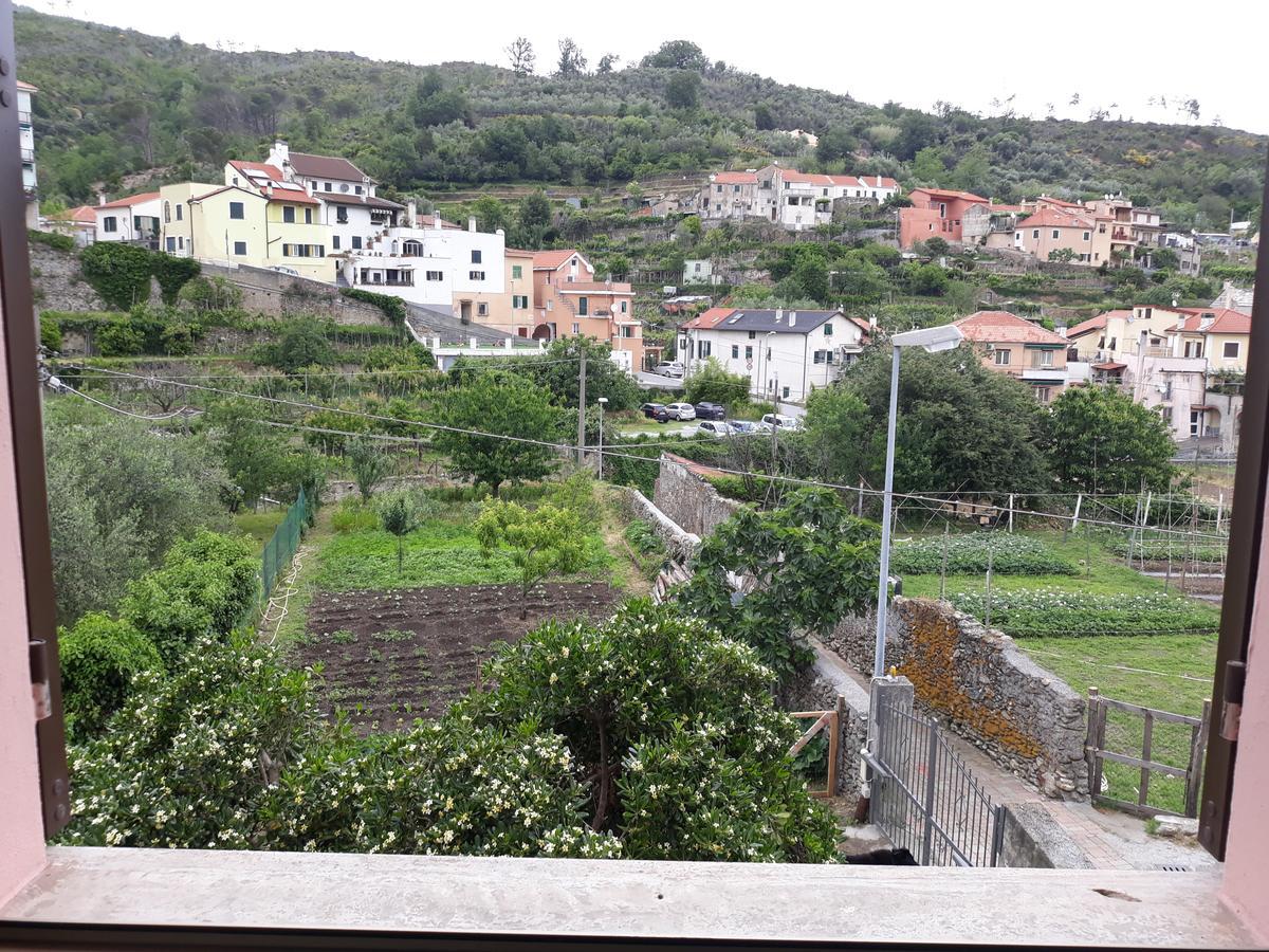La Terra Di Mingo Bed & Breakfast Vado Ligure Dış mekan fotoğraf
